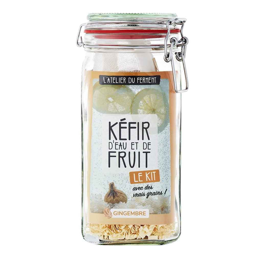 Kit de fabrication maison pour Kéfir de fruits Gingembre
