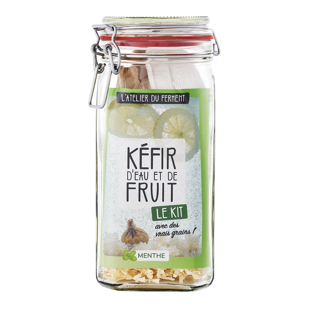 Kit de fabrication maison pour Kéfir de fruits Menthe poivrée