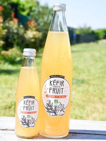 Kéfir de fruits Gingembre Rooibos