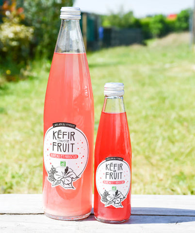 Kéfir de fruits Sureau Hibiscus