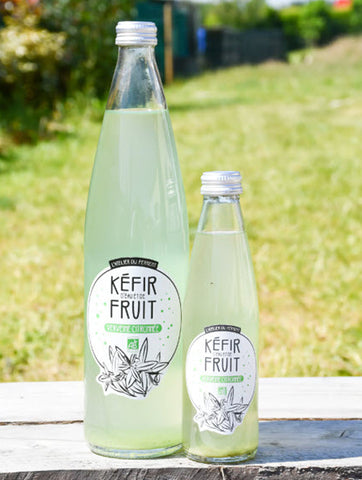 Kéfir de fruits Verveine Citronnée
